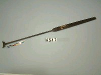 藏品(木槳)的圖片